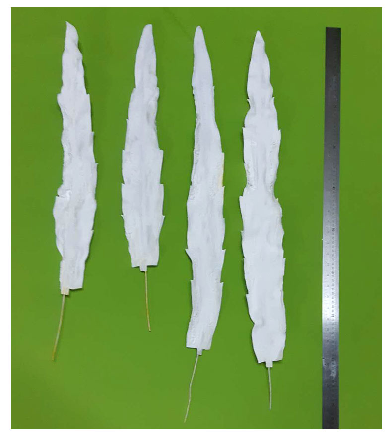 云顶国际vip8866官网