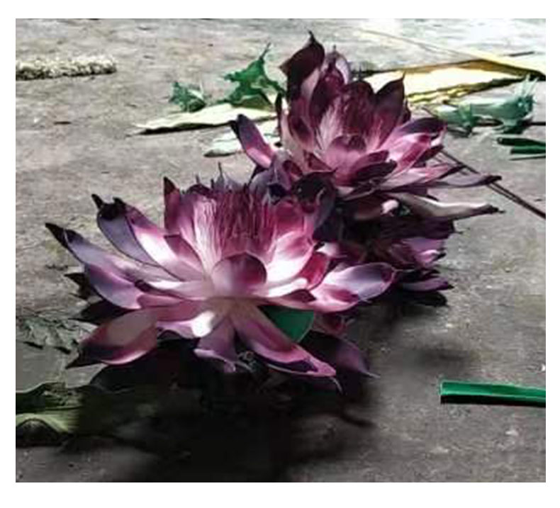 云顶国际vip8866官网