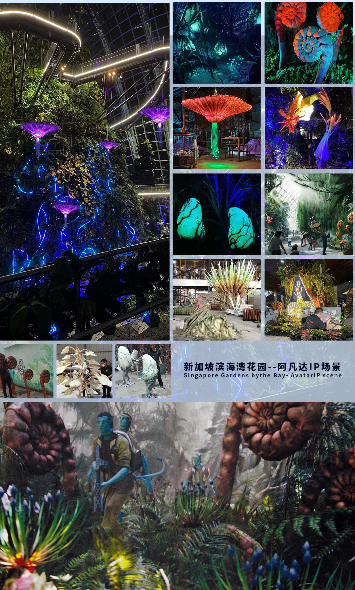 云顶国际vip8866官网