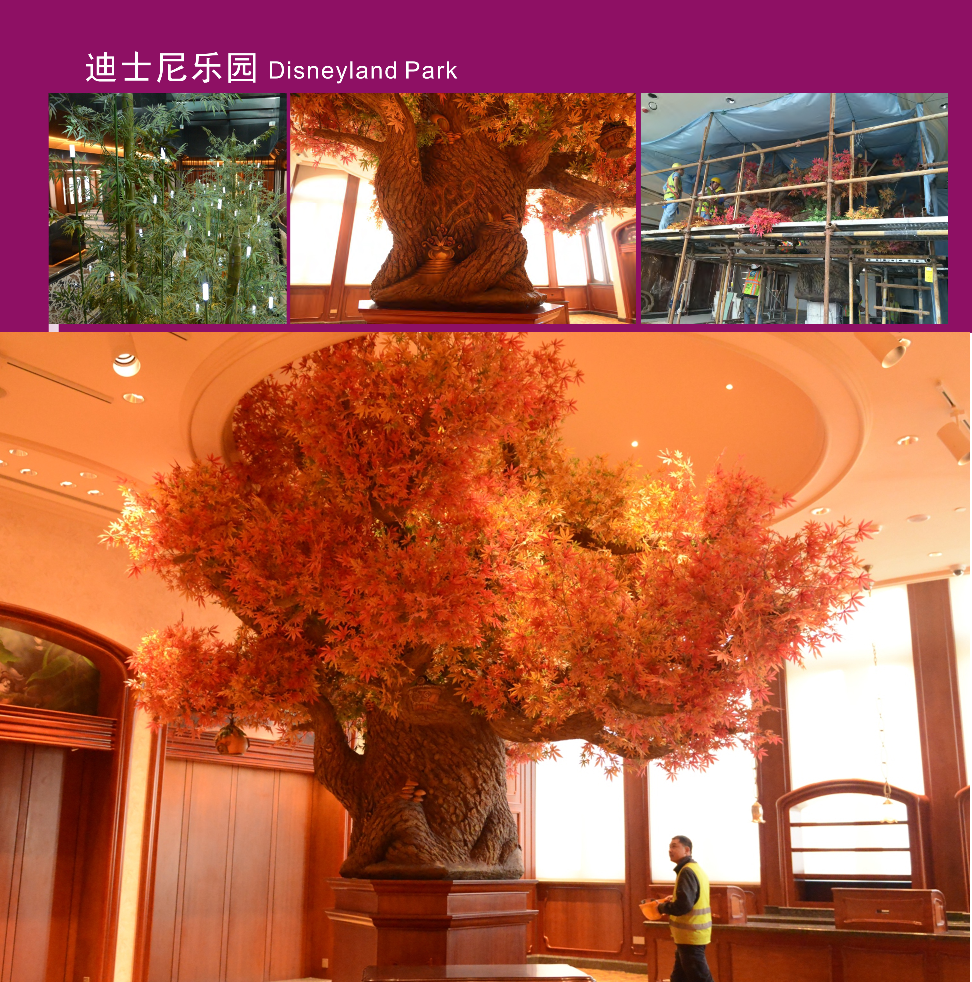 云顶国际vip8866官网