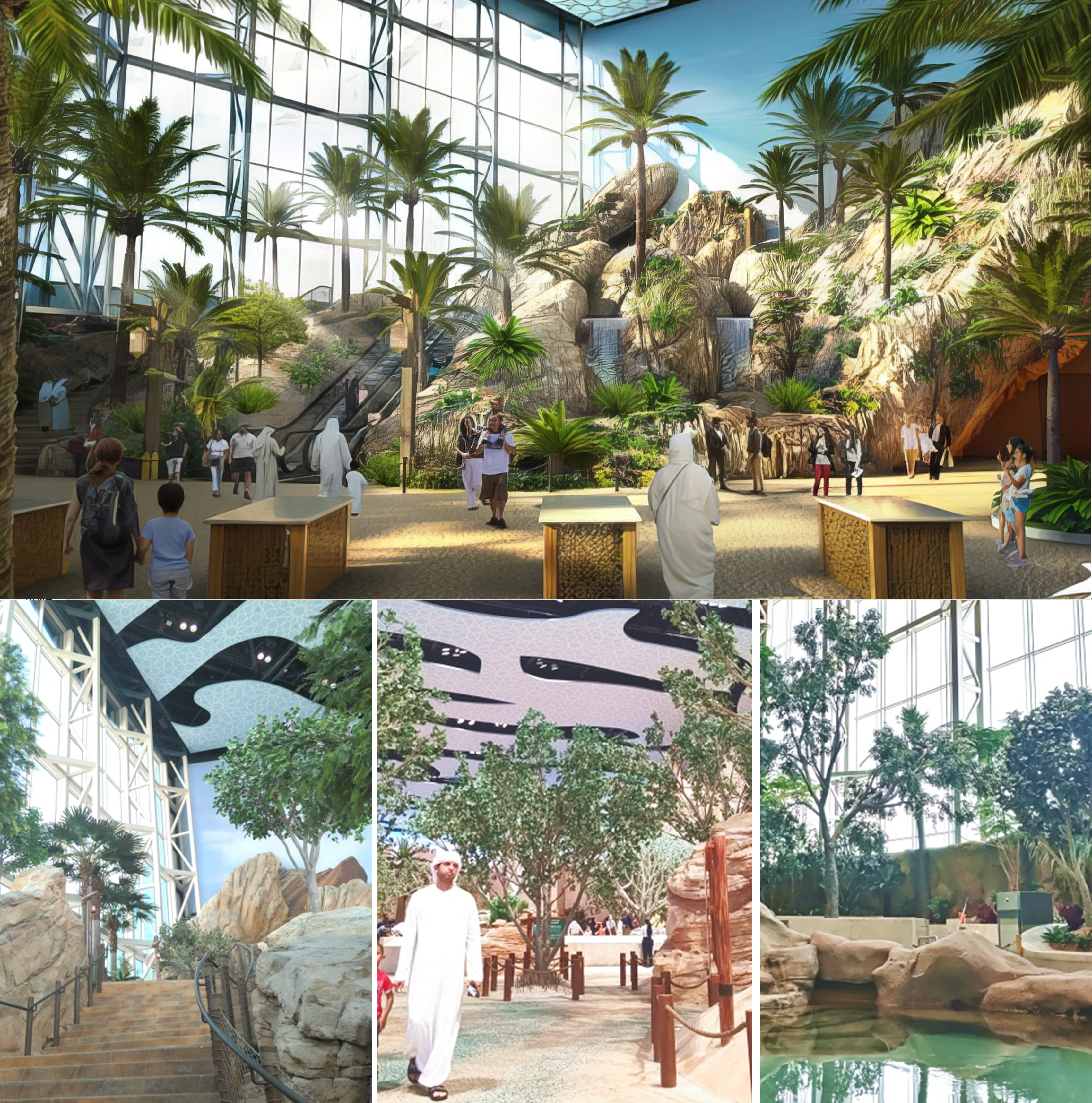 云顶国际vip8866官网