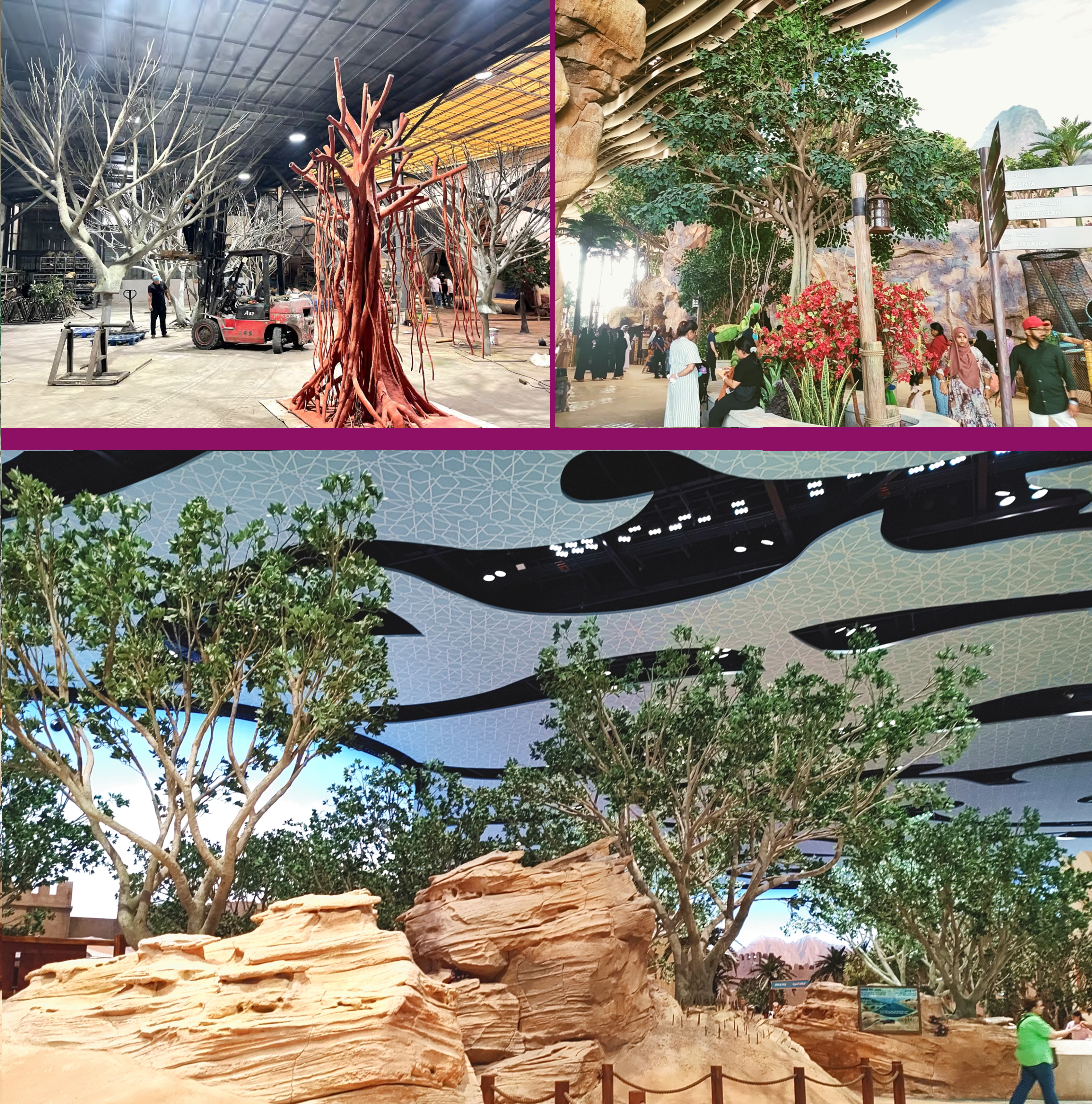 云顶国际vip8866官网