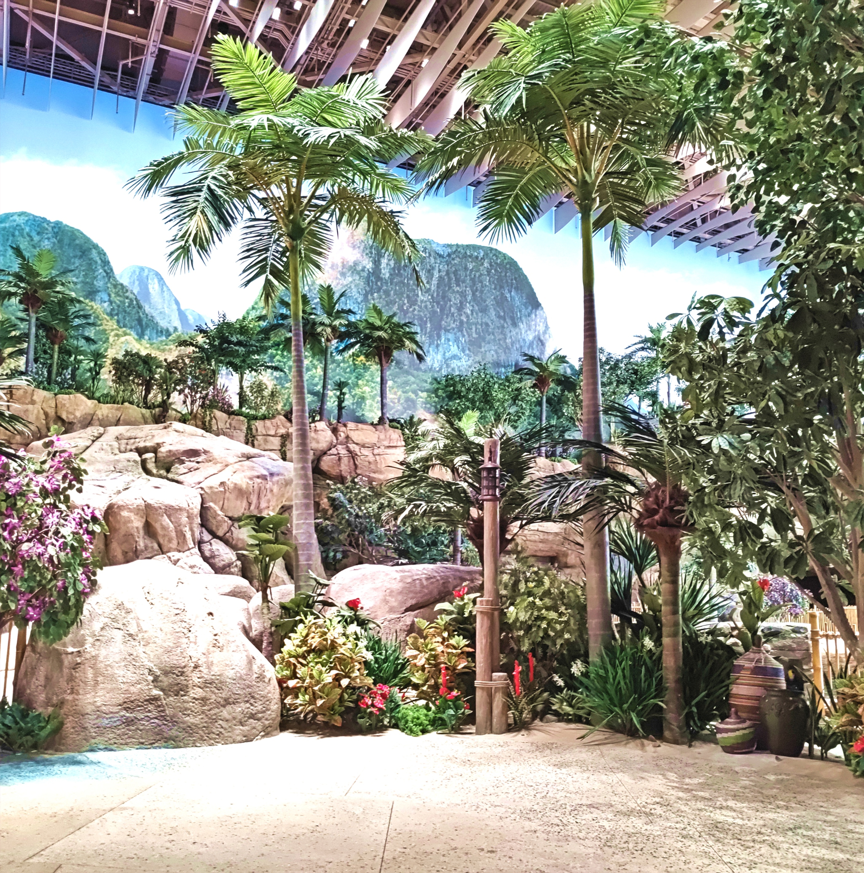 云顶国际vip8866官网