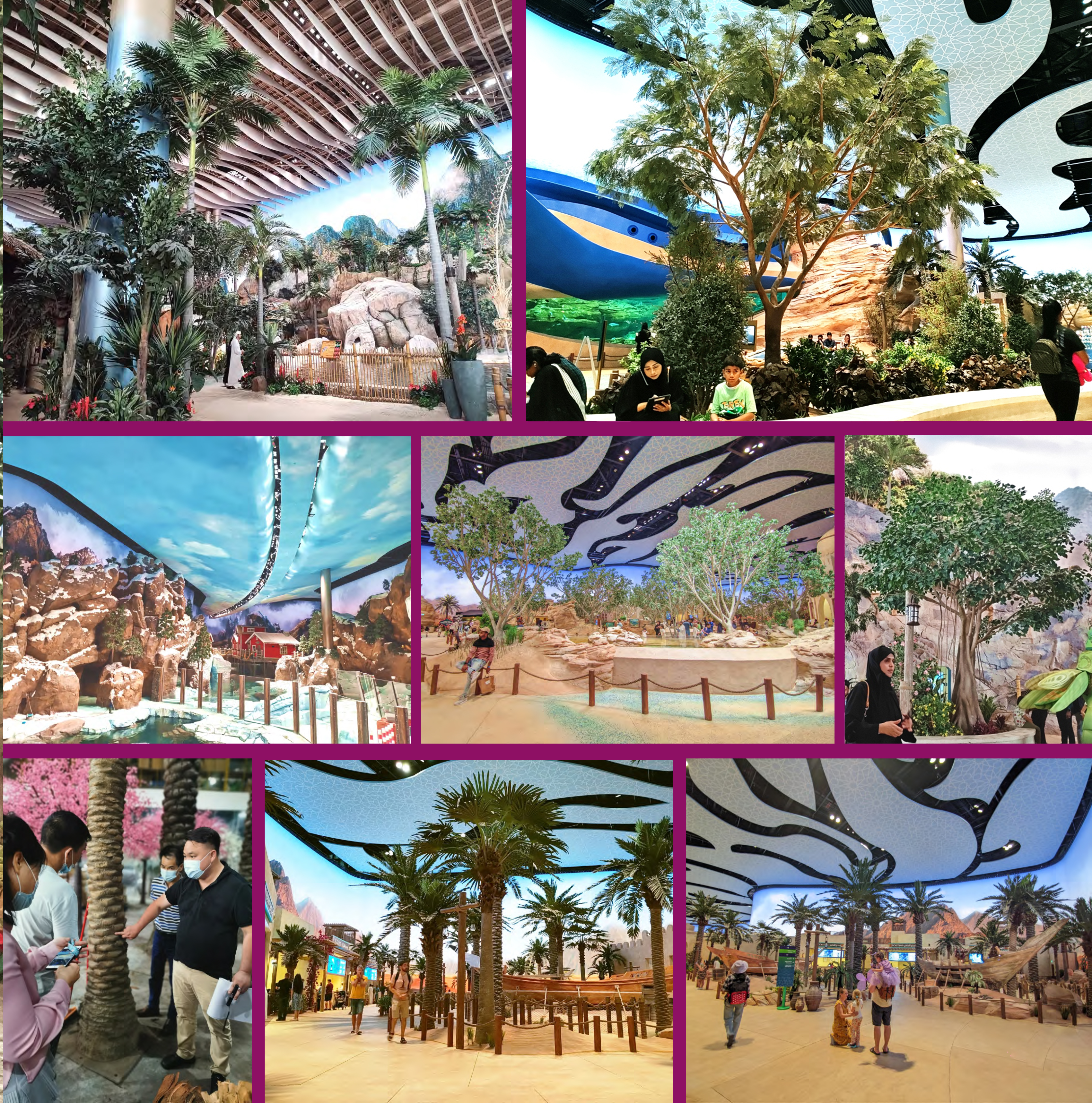 云顶国际vip8866官网