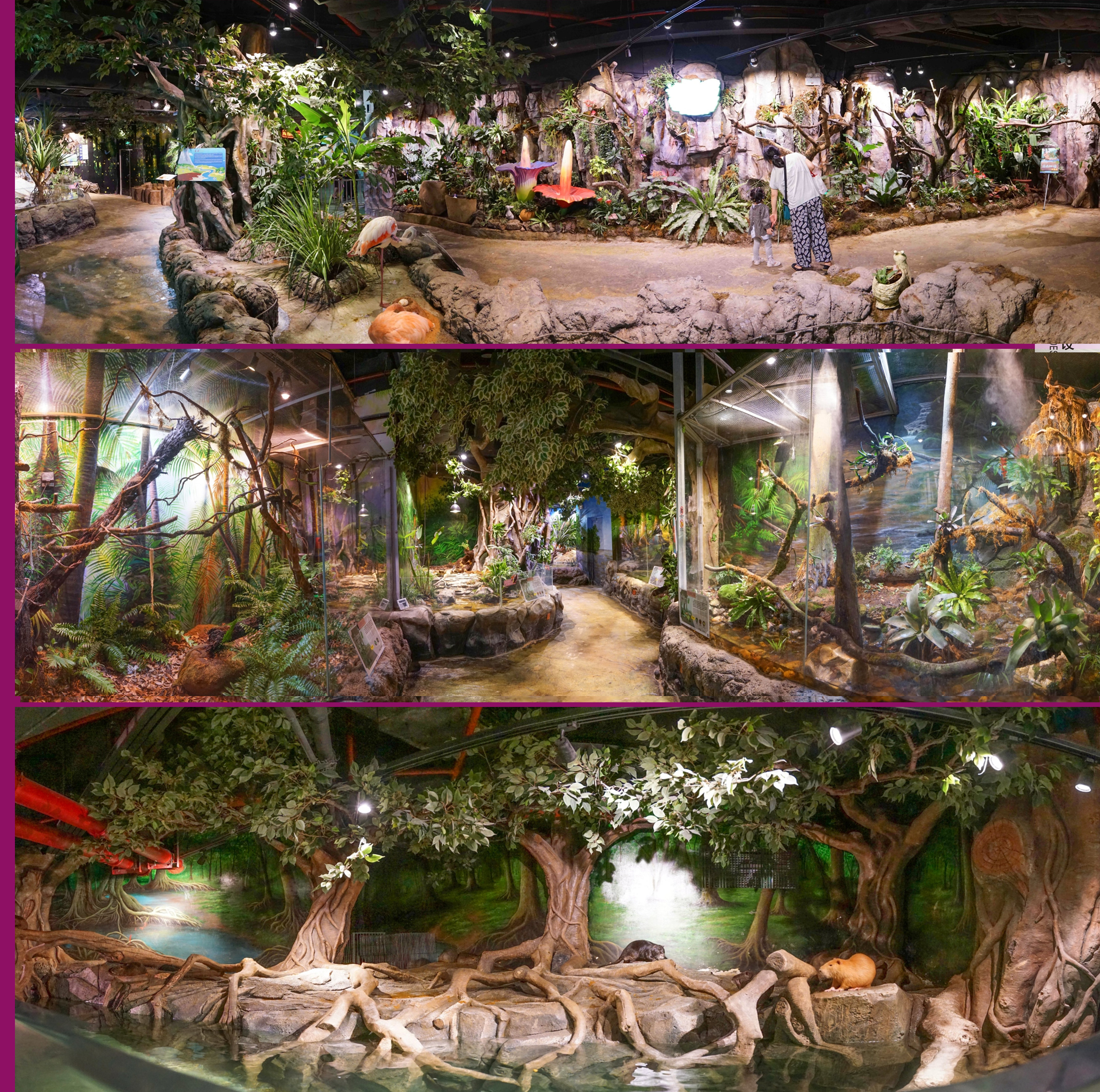 云顶国际vip8866官网