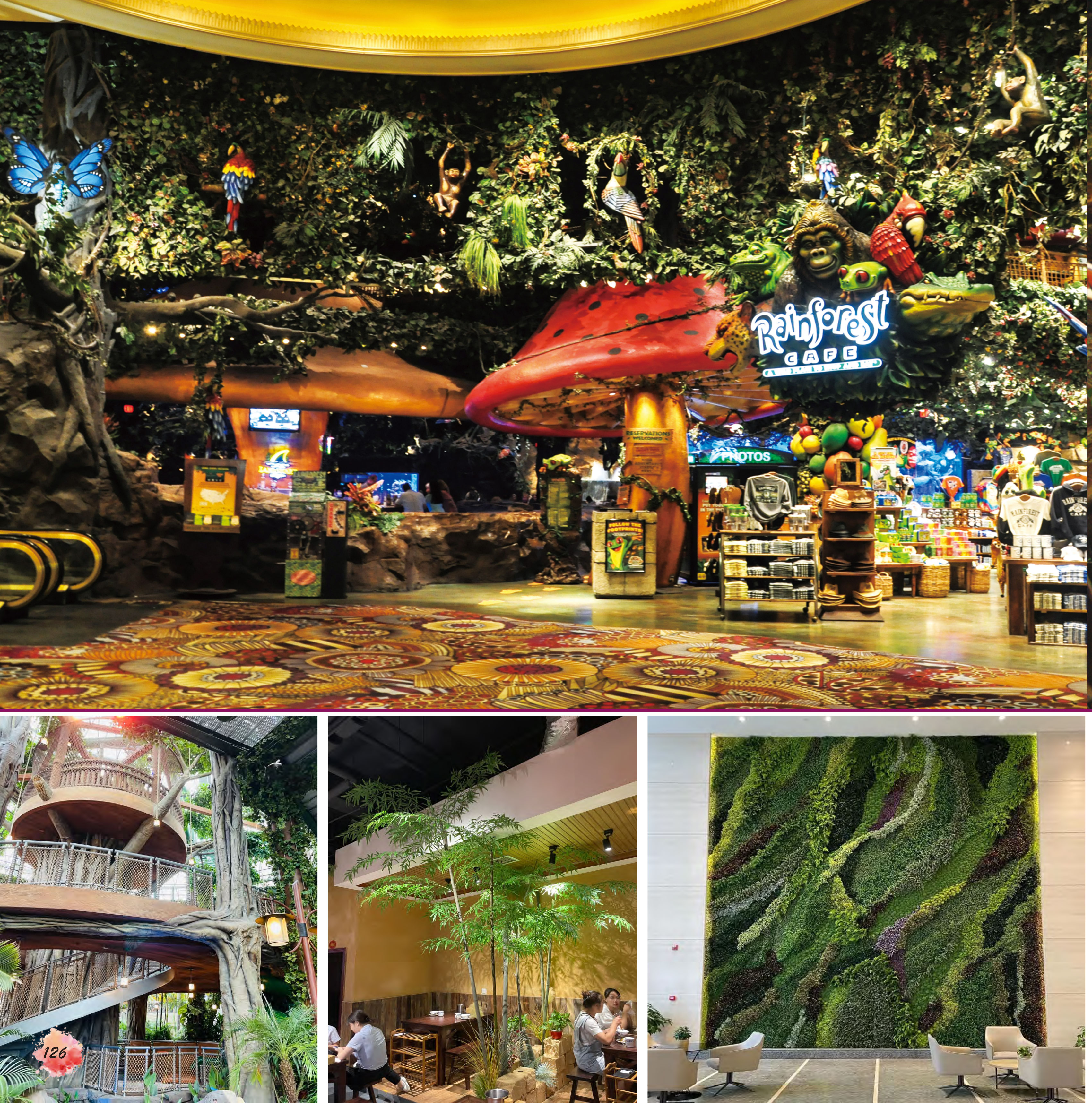 云顶国际vip8866官网