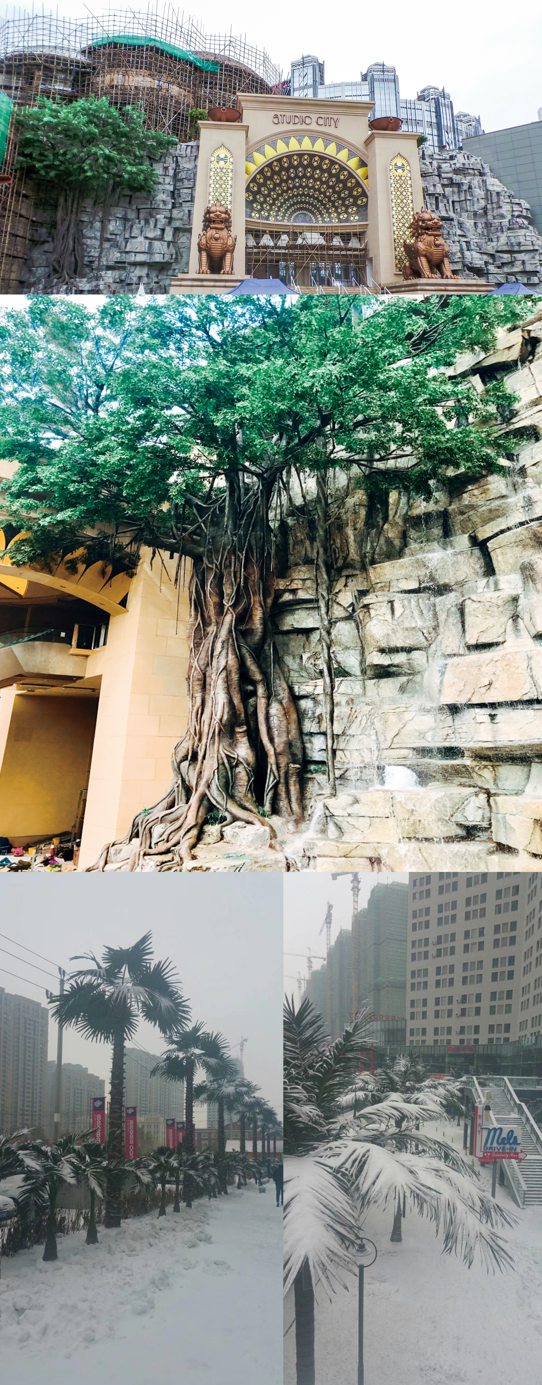 云顶国际vip8866官网