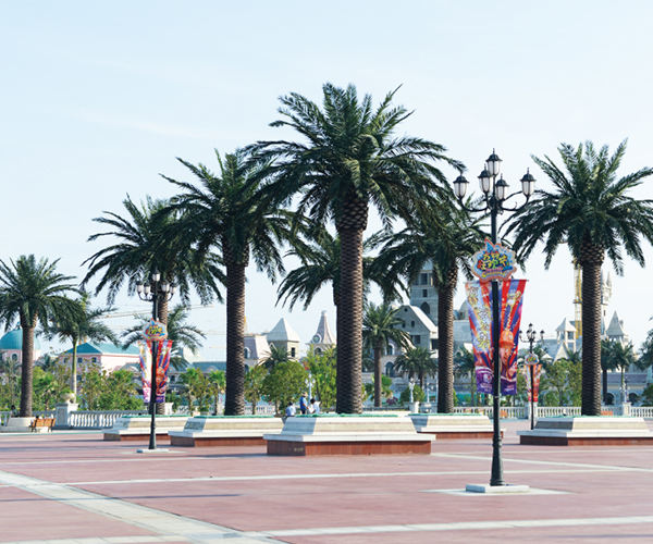 云顶国际vip8866官网