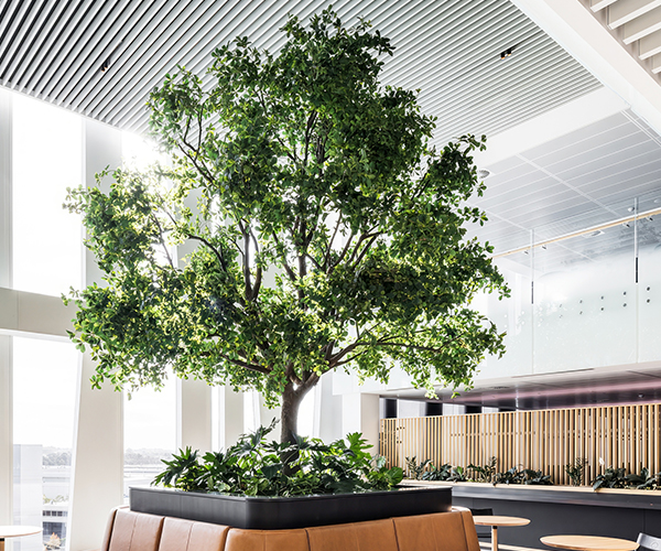 云顶国际vip8866官网