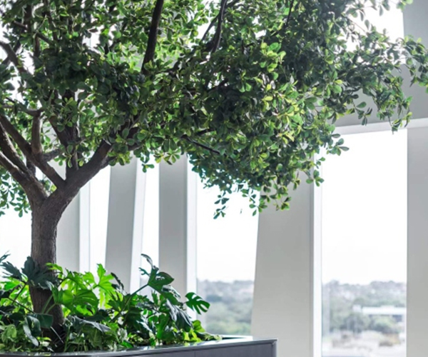 云顶国际vip8866官网