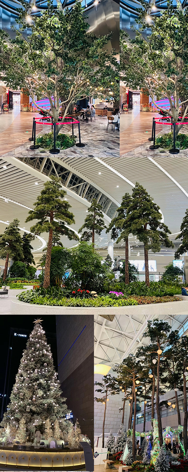 云顶国际vip8866官网