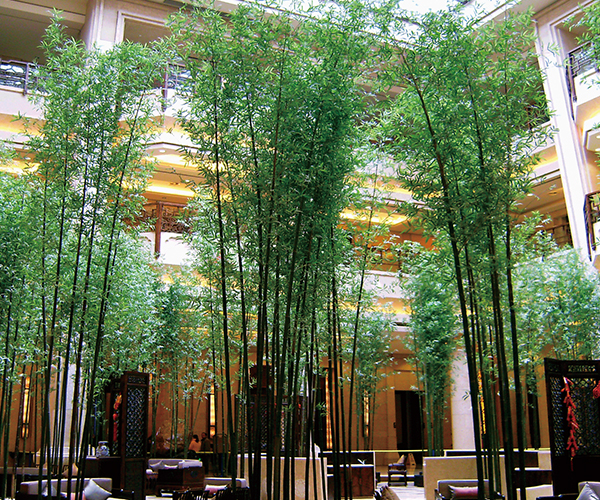 云顶国际vip8866官网