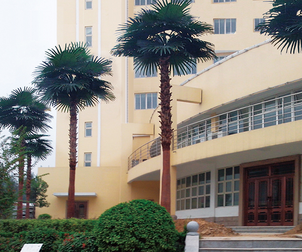 云顶国际vip8866官网