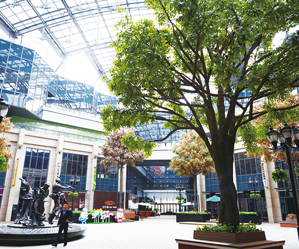 云顶国际vip8866官网