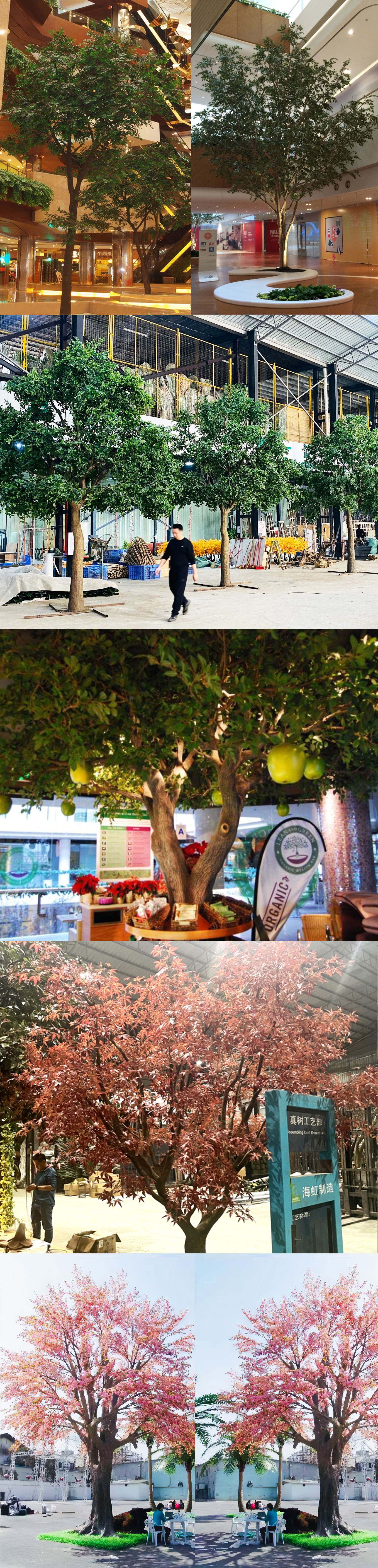 云顶国际vip8866官网