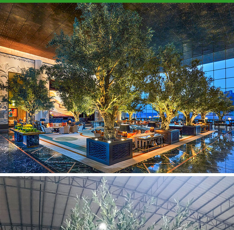 云顶国际vip8866官网