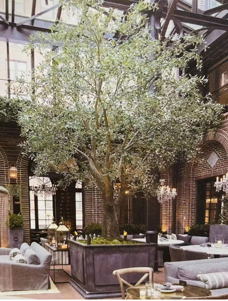 云顶国际vip8866官网