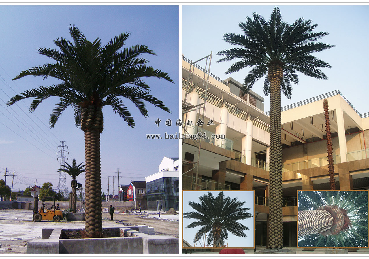 云顶国际vip8866官网